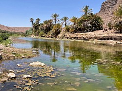 Oasis de Fint