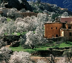 Vallée des amandiers