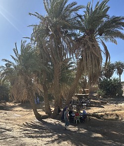 Oasis sacré