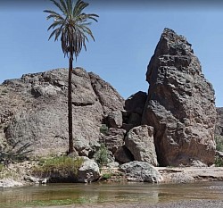 Oasis de Sidi-flat