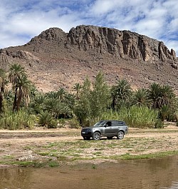 Oasis de Fint