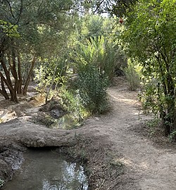 Oasis de Skoura
