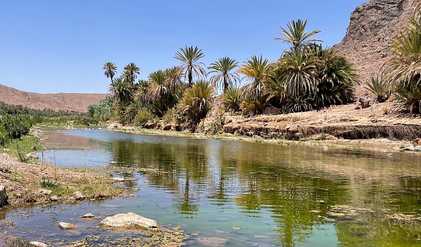 Oasis de Sidi-flat